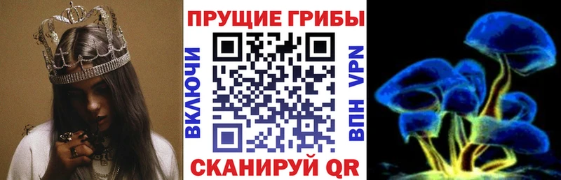 Галлюциногенные грибы ЛСД  купить наркотики сайты  mega ТОР  darknet как зайти  Ангарск 